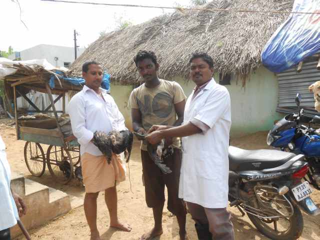 Image of Health Camp 1