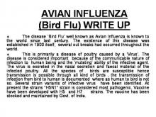 Image of Bird Flu 1