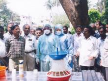 Image of Bird Flu 57