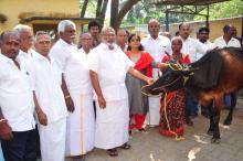 CATTLE DEVELOPMENT (CD) 6