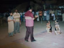 Image of Show / Rally - Dogs 5