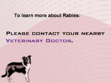 Rabies 39 Image of Rabies 39