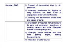 Image of Bird Flu 13