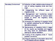 Image of Bird Flu 14