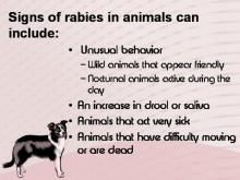 Rabies 16 Image of Rabies 16