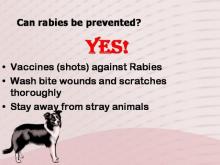 Rabies 18 Image of Rabies 18