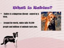 Rabies 2 Image of Rabies 2