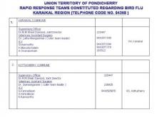 Image of Bird Flu 26