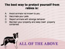 Rabies 35 Image of Rabies 35