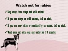 Rabies 36 Image of Rabies 36