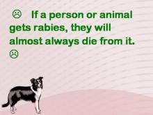 Rabies 4 Image of Rabies 4