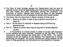 Image of Bird Flu 5